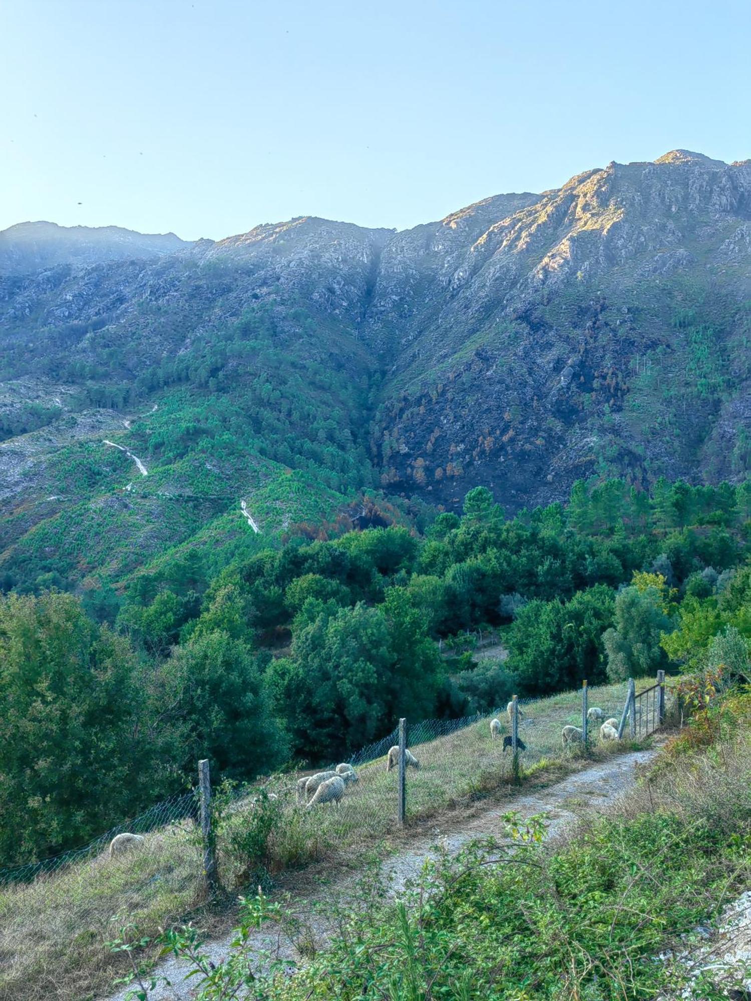 Vale 7lagoas